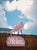 Heinz Ketchup Sign - Film Photograph Fine Art For Sale