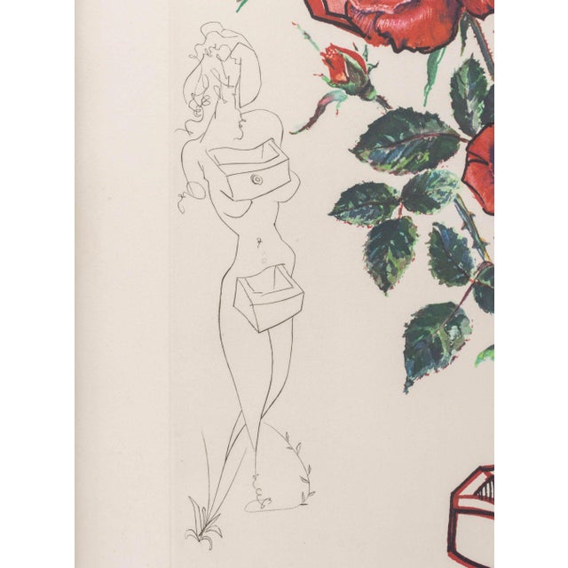 1970s Salvador Dali "Rose (Drawers)" Etching, 1972 For Sale - Image 5 of 11
