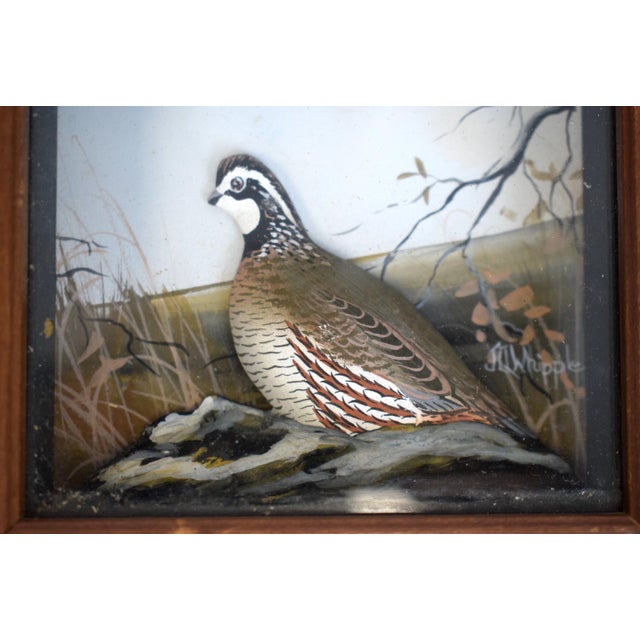 Mid 20th Century Abercrombie & Fitch X Hand Painted Quail Composition Relief Sculpture & Landscape by Joseph Q. Whipple (Signed) For Sale - Image 5 of 5