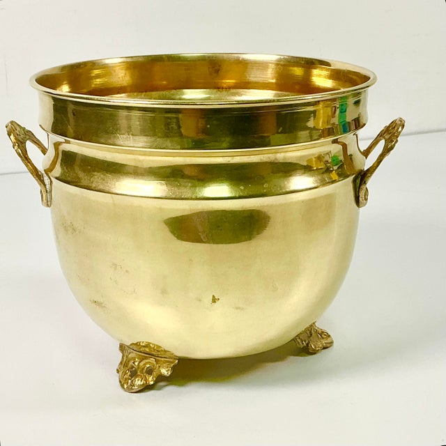 There is nothing more gorgeous than a lush green plant in a brass planter. It's classic, iconic and oh so old Hollywood....