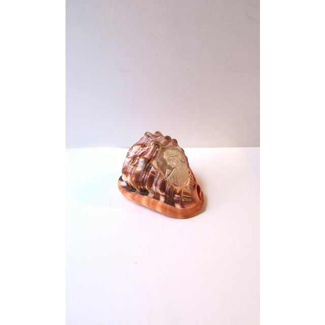 Neoclassical Italian Cameo Shell Seashell, Neoclassical Style, Mid-20th Century, Italy For Sale - Image 3 of 8