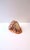 Neoclassical Italian Cameo Shell Seashell, Neoclassical Style, Mid-20th Century, Italy For Sale - Image 3 of 8