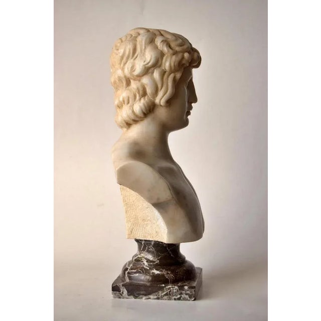 Stone Bust of Antinous, White Carrara Marble, Early 20th Century For Sale - Image 7 of 11