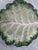 Traditional Pair of Fitz & Floyd Porcelain Cabbage Leaf Appetizer Plates For Sale - Image 3 of 5