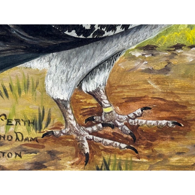 Circa 1930 British Folk Art Champion Racing Pigeons Oil Painting For Sale - Image 11 of 18