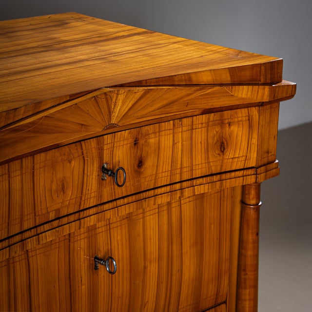 19th Century Biedermeier Chest of Drawers For Sale - Image 9 of 12