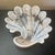 Vintage 1960's Duncan & Miller Pink Opalescent Shell Plate "Sanibel" For Sale - Image 4 of 6