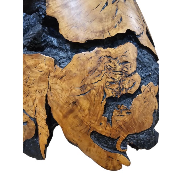 Wood Signed Donnelly 1990 Abstract Wildlife Wood Sculpture – Organic Modern Art For Sale - Image 7 of 8