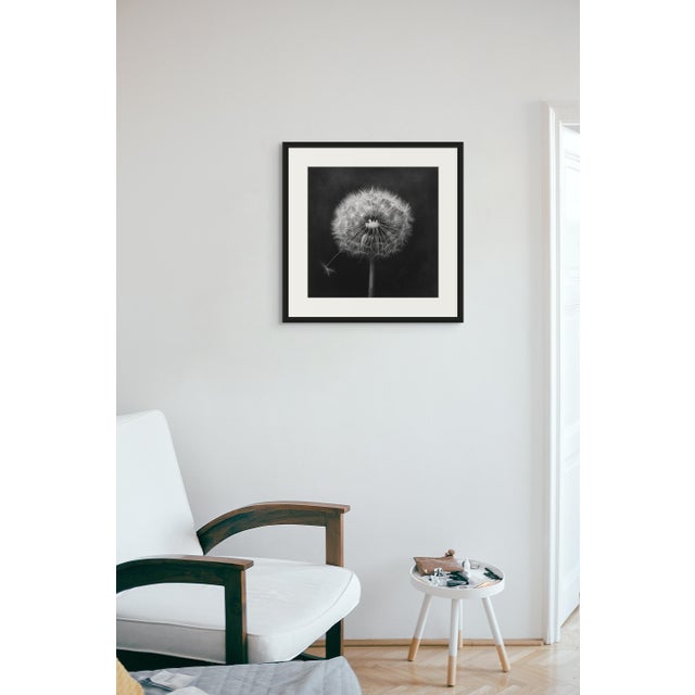 ______________________________________ FREE SHIPPING FOR A LIMITED TIME ONLY! ______________________________________...