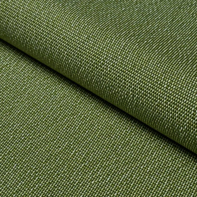 SAMPLE - Schumacher Cooper Indoor/Outdoor Fabric In Green For Sale