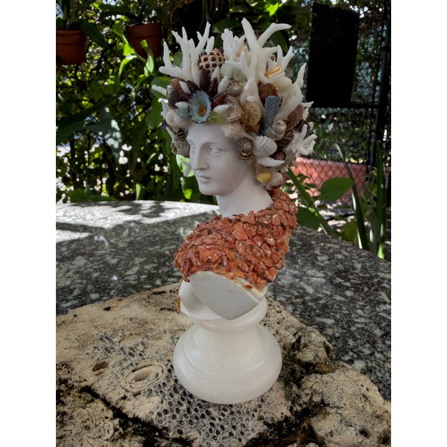 Classical Roman 7" H. CSS Seashell Bust of Apollo For Sale - Image 3 of 7