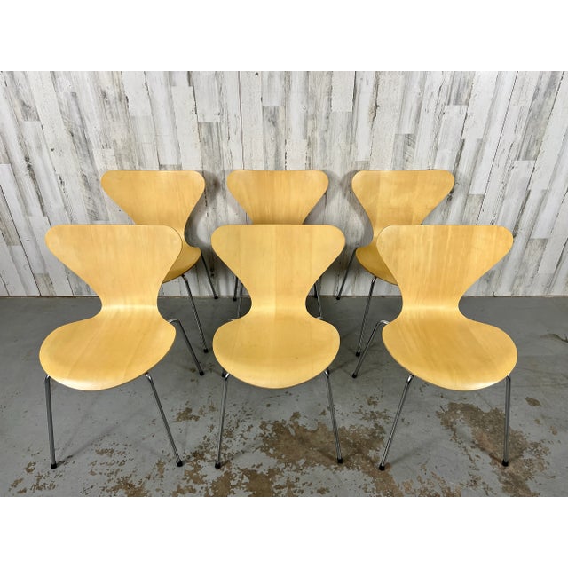 Iconic Arne Jacobsen series 7 stackable natural beech wood chairs for Fritz Hansen. The lean, stackable chair updates...