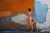Contrapunto in Venezia, 2020 For Sale - Image 3 of 3