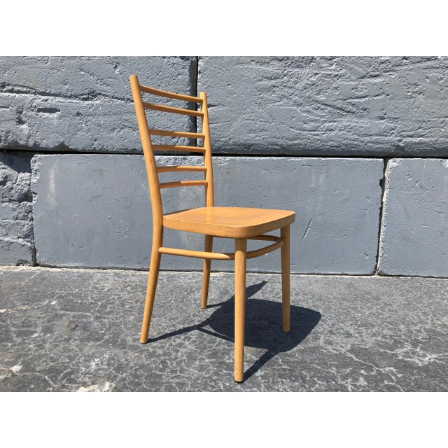 Tan 1970s Bentwood Dining Chairs - Set of 9 For Sale - Image 8 of 13