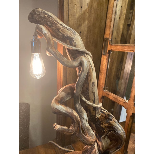 Wood Tree Table Lamp With Live Edge Base and Root Upper. For Sale - Image 7 of 16