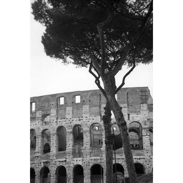 Not Yet Made - Made To Order Paul Cooklin, Rome Italy 00224, Edition of 50 For Sale - Image 5 of 5