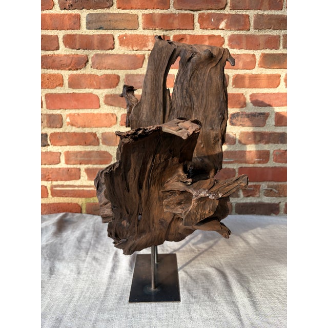 Vintage Teak Wood Root Sculpture on Metal Stand For Sale - Image 12 of 17