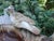 Cast Iron Birdbath, 1990s For Sale - Image 11 of 17