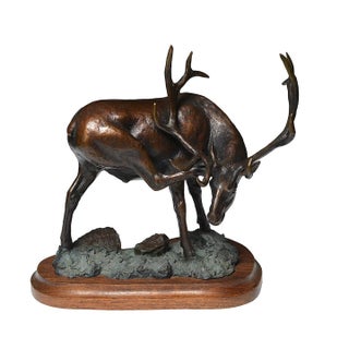 1990s Royal Itch, Ralph "Tuffy" Berg Jr For Sale