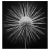 Clathrulina Elegans A model of a fresh water protozoan, Clathrulina elegans, a species of heliozoan eukaryotes, a group of...