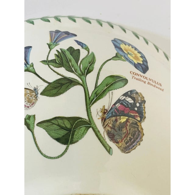 Large Mixing Botanical Ceramic Bowl With Butterflies English For Sale - Image 4 of 6