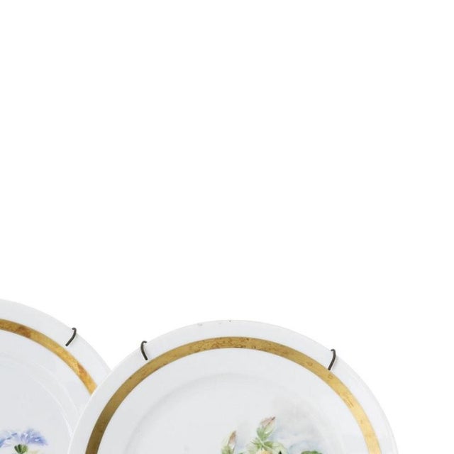 Porcelain Flower Plates, Set of 5 For Sale - Image 4 of 6