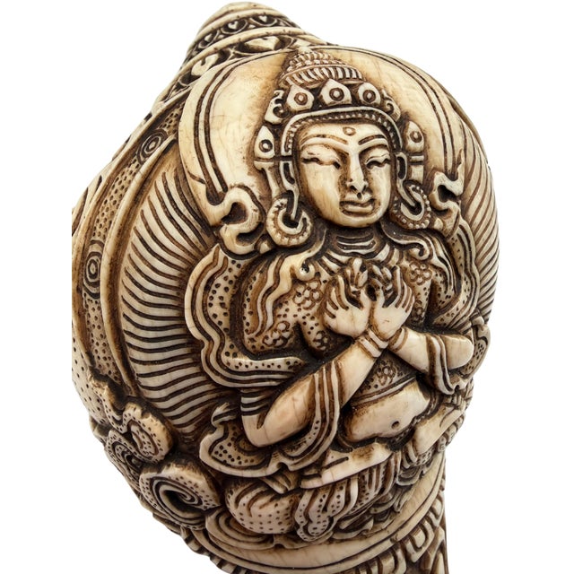 Hand-Carved Shakyamuni Buddha Conch Shell For Sale In Washington DC - Image 6 of 6