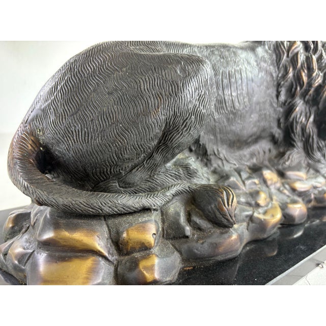 Mid 20th Century Grand Tour Italian Bronze Lion Sculpture For Sale - Image 11 of 12