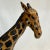 1970s Vintage Safari Leather Wrapped Tabletop Giraffe Figurine. For Sale - Image 6 of 10