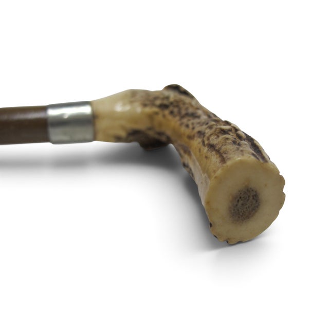 Reindeer Carved Stag Deer Antler Handle Antique Walking Stick Cane For Sale - Image 11 of 13