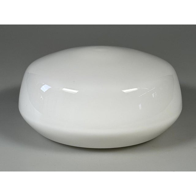 Mid-Century Ceiling Light in Frosted Glass from RZB, 1960s For Sale - Image 4 of 15
