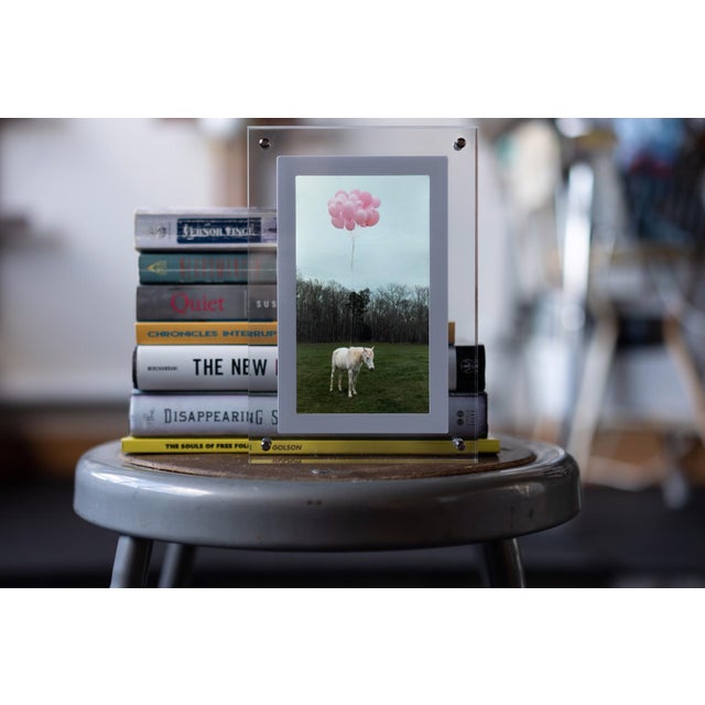 Contemporary Process of Love by Shelli Langdale | Acrylic Framed Video of a horse with pink balloons For Sale - Image 3 of 5