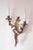 Large Louis XV Style Rockery Bronze Wall Light, 1920s For Sale - Image 4 of 5