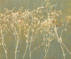 Hannah Wong, "Mustard Seed", Botanic Abstract Lithograph