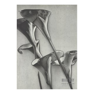 1988 Man Ray 'Arums' Photography Black & White France Offset Lithograph For Sale
