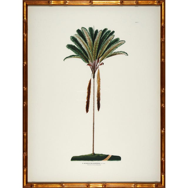 Wood Set of 6 Palm Trees in Bamboo Moulding For Sale - Image 7 of 8