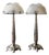 Dahlias Lamps in Opalescent Glass by René Lalique, 1921, Set of 2 For Sale