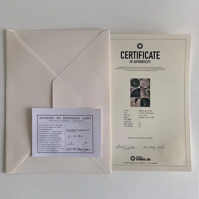 Blue "AV_Solar_Plants_012" Contemporary Limited Edition Fine Art Photograph by Bernhard Lang For Sale - Image 8 of 8