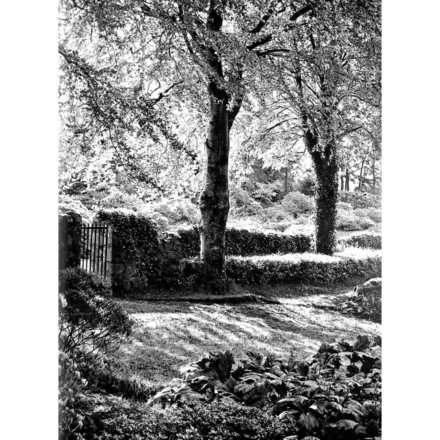 White "Great Gardens of Britain" 1967 Coats, Peter For Sale - Image 8 of 12