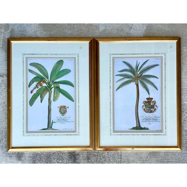 Vintage Crested Palm Etchings - A Pair For Sale - Image 10 of 12