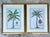 Vintage Crested Palm Etchings - A Pair For Sale - Image 10 of 12