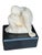 Ivory Mid 20th Century Seated Figure Terra Cotta by Eleanor E. Sharp For Sale - Image 8 of 12