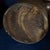 Brown Antique Salt Glaze Crock Jug W/Handle For Sale In Houston - Image 6 of 8