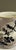 Earthenware Vase, 19th Century For Sale - Image 5 of 8