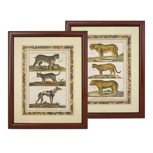 Early 19th Century Animal Engraving Leopard Dog Antique Framed - a Pair