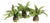 Boston Fern Drop-Ins, Set Of 3 For Sale