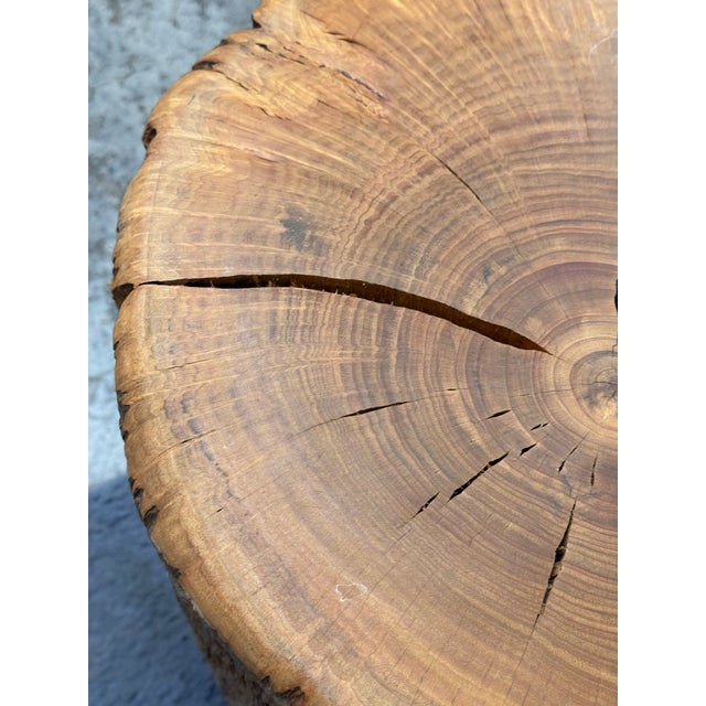 Wood Organic Modern Live Edge Tree Side Table/ Stools, Set of Four For Sale - Image 7 of 12