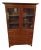 19th Century Regency Mahogany Bookcase/ China Cabinet For Sale