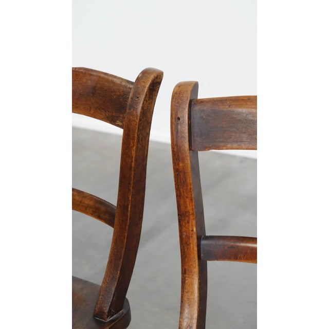 Antique English Oxford Dining Chairs, Set of 12 For Sale - Image 9 of 15