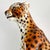 20th Century Italian Ceramic Leopard Floor Sculpture For Sale - Image 14 of 18